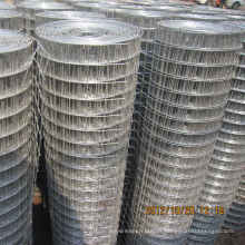 Galvanized Welded Wire Mesh for Building Used